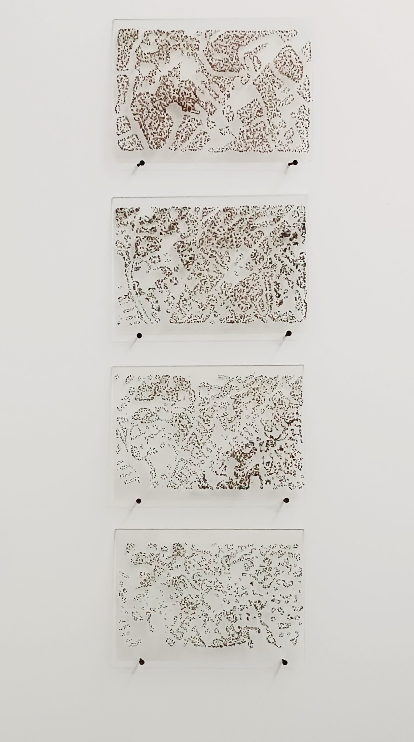 Asphaltocène © ADAGP, Paris, 2025