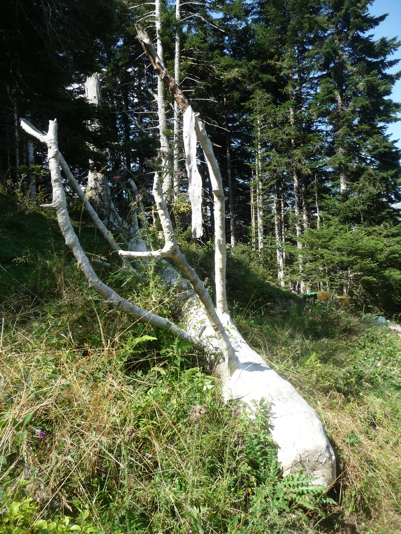 Embaumement 42°56’35.7»N 0°17’23.5»E © ADAGP, Paris, 2024 Embaumement 42°56’35.7»N 0°17’23.5»E © ADAGP, Paris, 2024