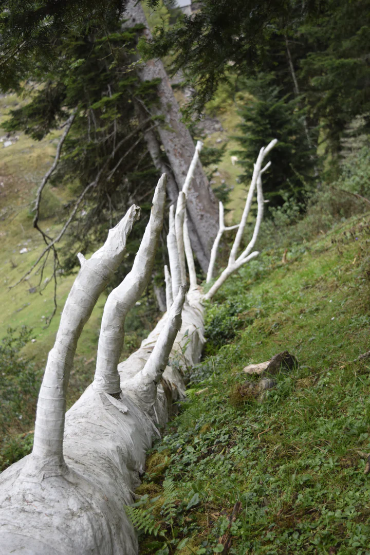 embaumement 1.3 embaumement 1.3