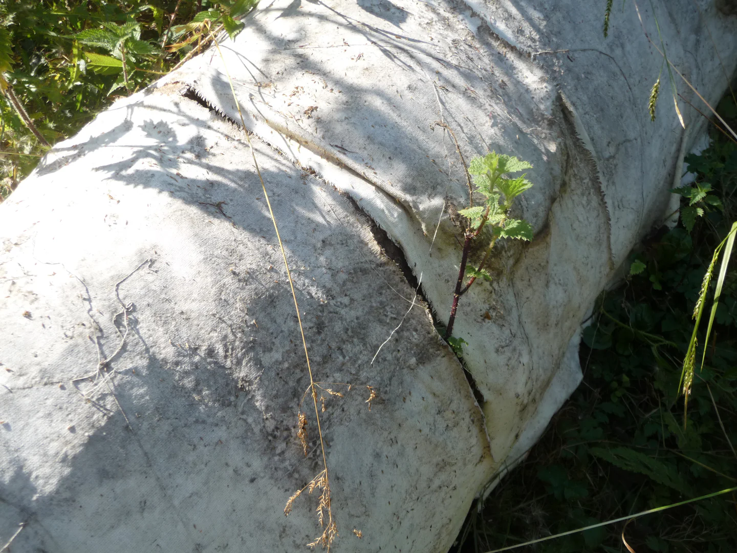 Embaumement 42°56’35.7»N 0°17’23.5»E © ADAGP, Paris, 2024 Embaumement 42°56’35.7»N 0°17’23.5»E © ADAGP, Paris, 2024