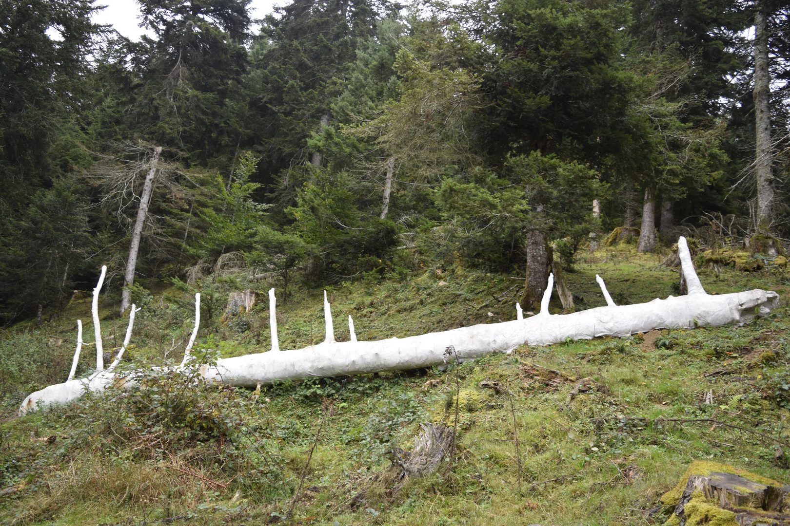 embaumement-lorene-roustin @adagp embaumement-lorene-roustin @adagp