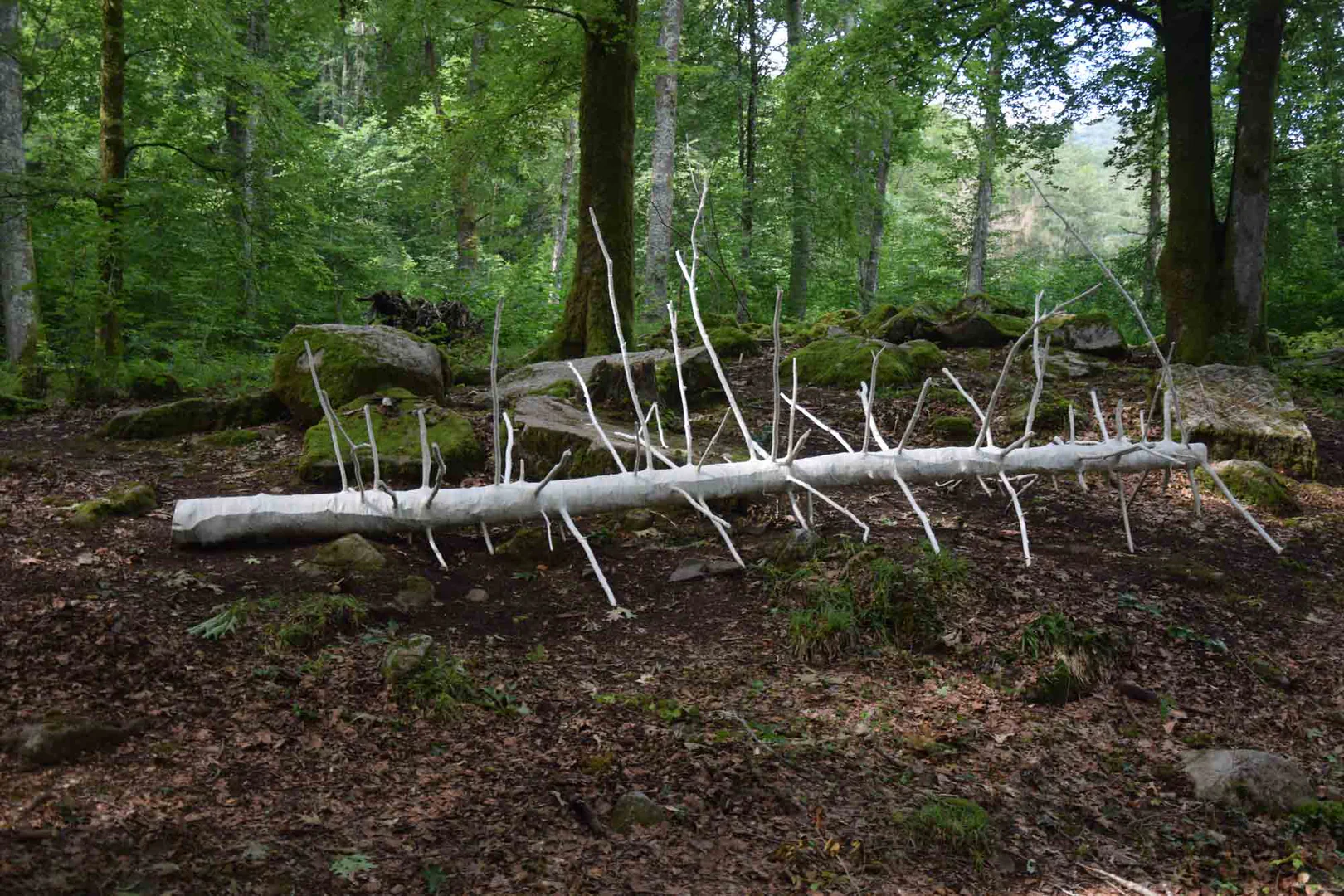 embaumement16-lorene-roustin-@adagp