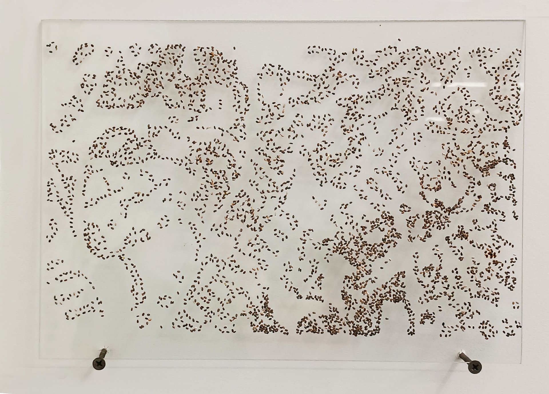 Asphaltocène © ADAGP, Paris, 2025