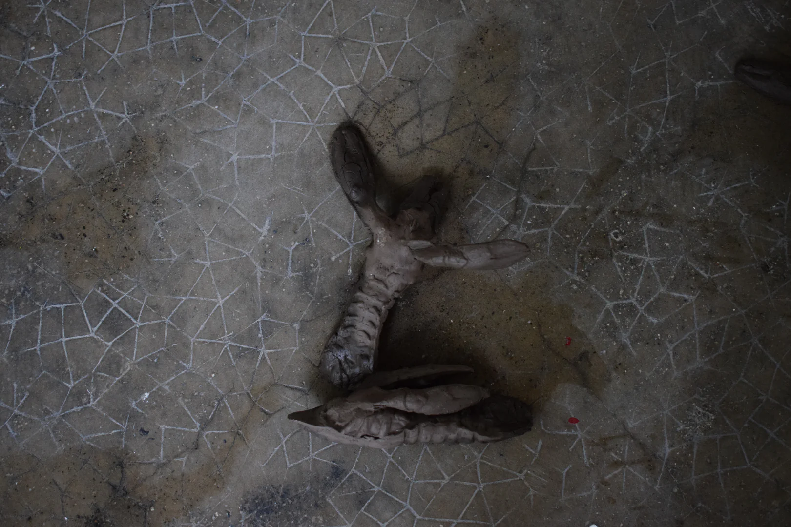 Pestilence © ADAGP, Paris