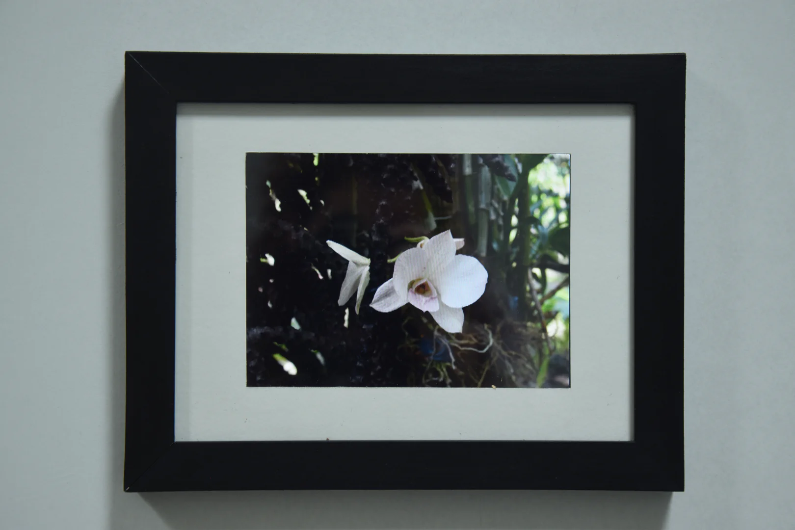 Souffle © ADAGP, Paris